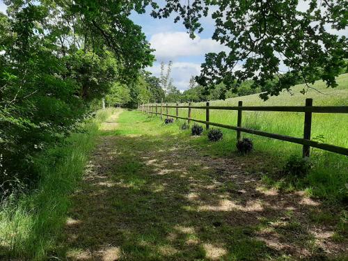 a field with a fence and a dirt road at Le Parc aux Oiseaux in Le Mesnil-Simon