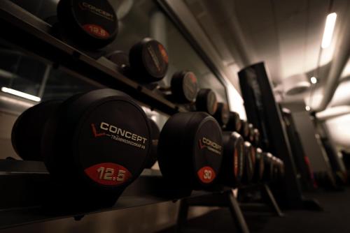 a row of black dumbbells in a gym at KIDE hotel by Iso-Syöte in Syöte