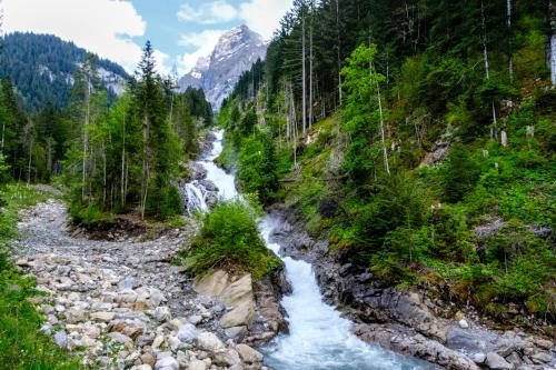 a river in a forest with a mountain in the background at Schweiz ,Lenk Ferienwohnung,Kinderfreundl,Seniorenfreundlich in Lenk