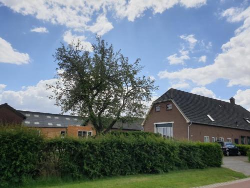 a house with a tree in front of a hedge at B&B Het Gelders Buitenleven in Overasselt