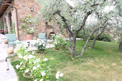 two blue chairs sitting in a yard with white flowers at Mikipong in Montepulciano