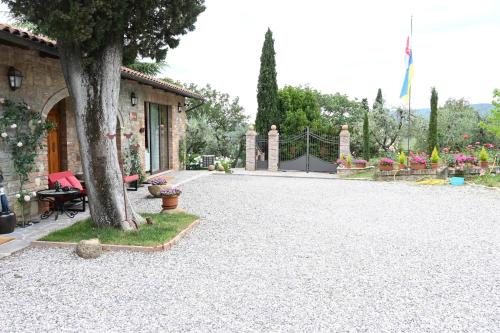 a driveway with a tree next to a house at Mikipong in Montepulciano