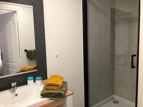 een badkamer met een wastafel en een douche bij La maison d Eole in Saint-Sulpice-les-Champs