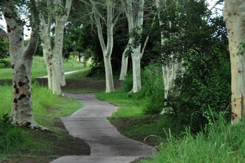 a path in a park with trees and grass at Legend Safaris 257A - in Kruger Park Lodge in Hazyview