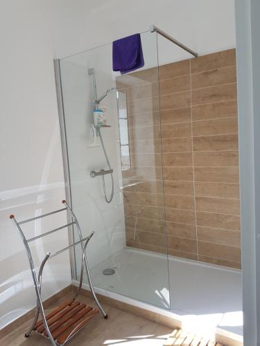 eine Dusche mit Glaskabine im Bad in der Unterkunft l'Airial de Larroque in Soustons