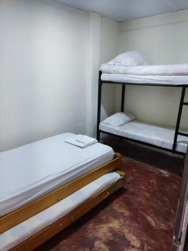 Ce dortoir comprend 2 lits superposés et un tapis rouge. dans l'établissement Alquiler de habitaciones BAY HOUSE HOSTEL, à Salinas