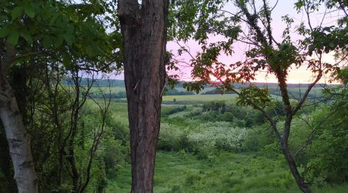 a view of a field through the trees at Stüble Kabinok in Somogyhárságy
