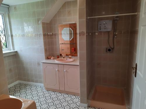 y baño con lavabo y ducha. en 4 Bedroom, 15 min to Limerick city Quiet Retreat. en Limerick