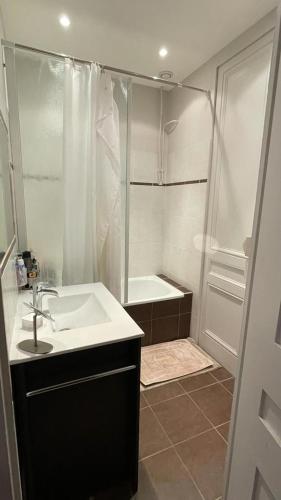 une salle de bain avec un lavabo, une douche et une baignoire dans l'établissement Belges, à Lyon