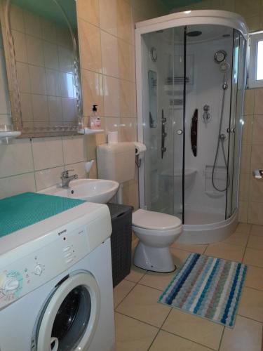 a bathroom with a toilet sink and a washing machine at Apartmani Pleša in Vir