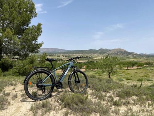 a bike parked in a field in the desert at Grapevine Manor in Monóvar