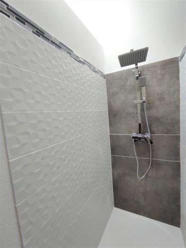 une douche dans une salle de bain avec une pomme de douche dans l'établissement Appartement Oingt - Les Meublés des Pierres Dorées, à Theizé