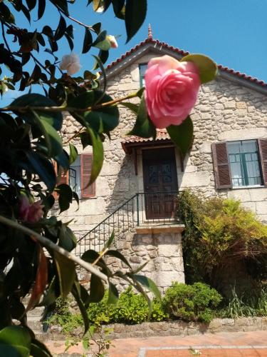 a house with a pink rose in front of it at Nossa Casa na Aldeia in Viseu