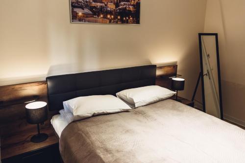 1 dormitorio con 1 cama grande y 2 almohadas en Apartamenty Infores Willa Matejki, en Przemyśl