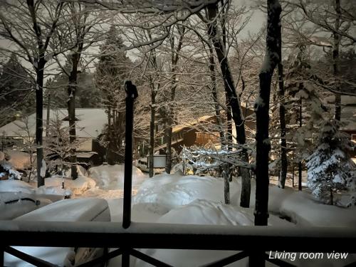 a snow covered yard with trees and a fence at The Guest House Japan Hakuba in Hakuba