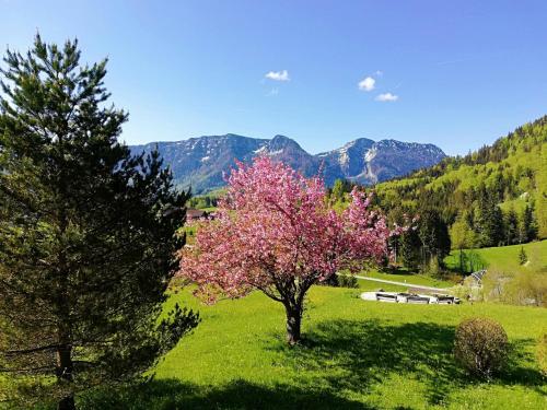 Gallery image of Hotel Heißenhof in Inzell