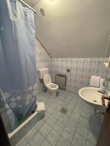 Un baño con ducha, inodoro y lavabo. en Apartment Plavo oko, en Smoljanac
