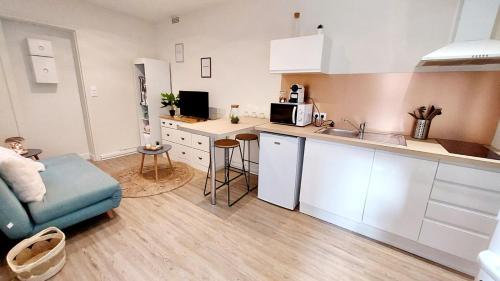 une cuisine avec un évier et un canapé dans une chambre dans l'établissement Cosy Yucca - 1CH - Quartier des Halles & Parking, à Pau