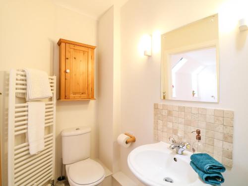 a bathroom with a toilet and a sink and a mirror at Fox Hat Cottage in Newton Abbot