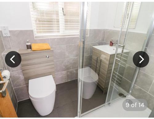 a bathroom with a shower and a toilet and a sink at The Lodge in Eckington