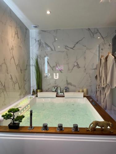 uma casa de banho com uma grande banheira de hidromassagem em La Suite Etoilée em Domène