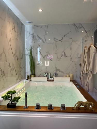 a bathroom with a large jacuzzi tub at La Suite Etoilée in Domène