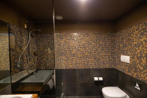a bathroom with a shower and a toilet and a sink at Hotel Europa Belluno in Belluno
