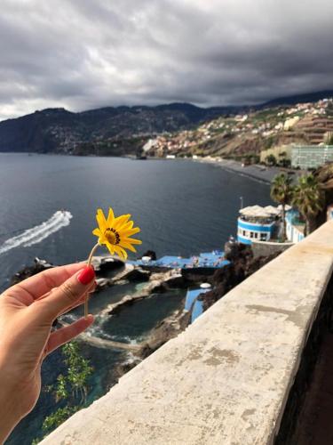 a person holding a yellow flower in front of a body of water at Atlantic Gardens Beach - atlanticgardensbeach com in Funchal