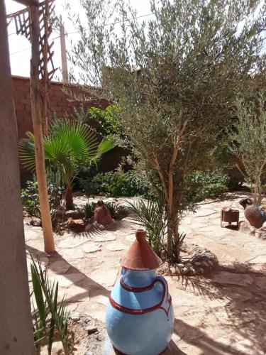 a vase sitting on the ground in a garden at Kasbah tifaoute ait Ben haddou in Aït Ben Haddou