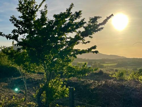 Φυσικό τοπίο κοντά σε αυτή η παραθεριστική κατοικία