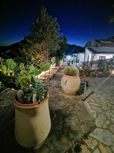 three large pots of plants in a garden at night at Villetta Delizia in Scopello