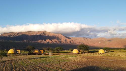Siilu Wasi. Glamping.