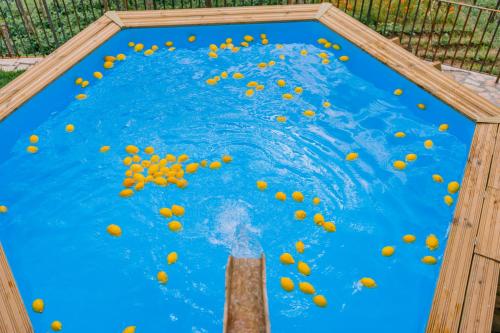 a pool of orange balls in the water at Villa Le Murelle in Tramonti