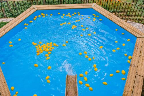 a bunch of oranges in a pool of water at Villa Le Murelle in Tramonti