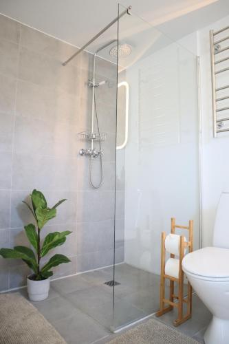 a bathroom with a shower with a toilet and a sink at BohoFyn in Nyborg