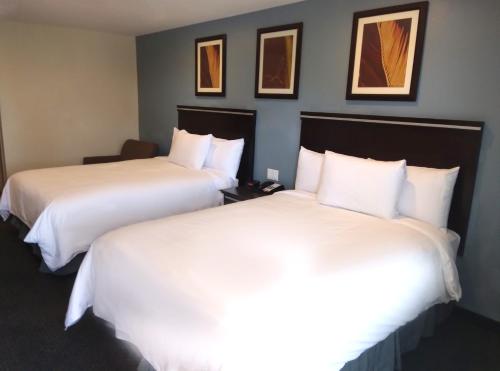 two beds in a hotel room with white sheets at SureStay Hotel by Best Western Chula Vista San Diego Bay in Chula Vista