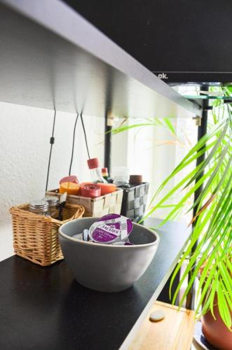 Trier-City Apartments