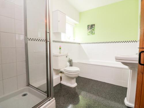a bathroom with a toilet and a sink and a shower at Home Farm Cottage in Barnstaple