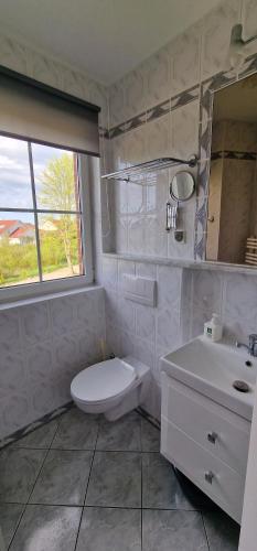 a bathroom with a toilet and a sink and a mirror at Apartamenty Hexagon nr 9 in Grzybowo