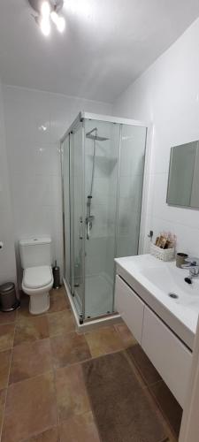 a bathroom with a glass shower and a toilet at Apartamento Catalina, en el casco histórico. in Ronda