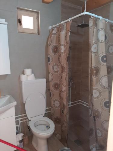 a bathroom with a toilet and a shower at Vikendica Jovičić 2 in Bogutovac
