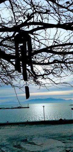 Gallery image of Davanti al Mare in Epanomi