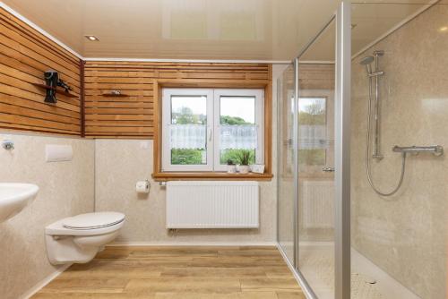 a bathroom with a toilet and a glass shower at Ferienhaus Broche in Hilchenbach