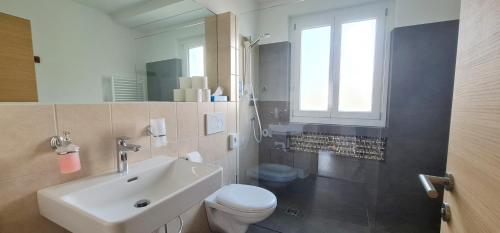 a bathroom with a sink and a toilet and a mirror at Apartment Traube - Stelvio in Stelvio