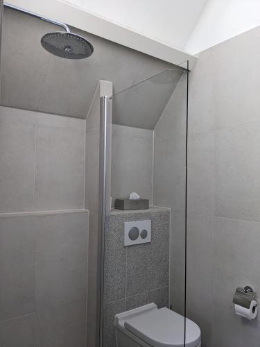 a bathroom with a toilet and a glass shower at Bed&Bubbels 256 in De Koog