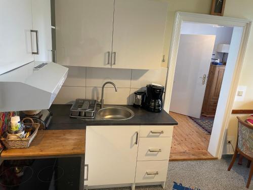 a kitchen with a sink and a counter top at Nationalpark Lobau Wohnung in Groß-Enzersdorf