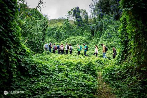 a group of people walking through a lush green field at Bed & Breakfast Acquamarina in Castro di Lecce