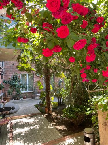 un montón de rosas rojas colgando de un árbol en Hotel Kalanga, en Tiflis
