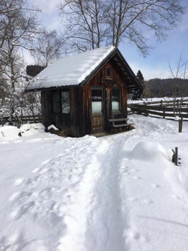 a wooden cabin in the snow with a snow covered driveway at Ferienwohnung Morgensonne in Mühlen