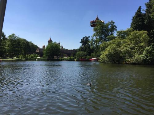 a duck swimming in the water in a lake at Bed and Breakfast in de buurt in Waalwijk